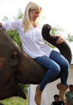 Pictures from King's Cup Elephant Polo in Hua Hin