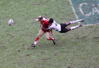 Pictures of the 2009 Hong Kong Sevens - click for high resolution which opens in a new window / tab