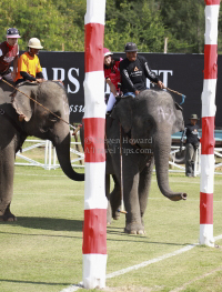 Pictures from 2012 King's Cup Elephant Polo in Hua Hin Thailand, taken 13 September 2012..