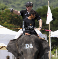 Pictures from 2012 King's Cup Elephant Polo in Hua Hin Thailand, taken 13 September 2012..