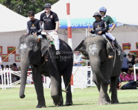 Pictures from 2012 King's Cup Elephant Polo in Hua Hin Thailand, taken 13 September 2012..