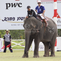 Pictures from 2012 King's Cup Elephant Polo in Hua Hin Thailand, taken 13 September 2012..