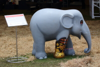 Pictures from 2014 King's Cup Elephant Polo in Bangkok, Thailand.