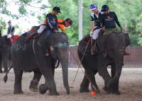 Pictures from 2014 King's Cup Elephant Polo in Bangkok, Thailand.