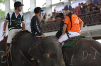 Pictures from 2014 King's Cup Elephant Polo in Bangkok, Thailand.