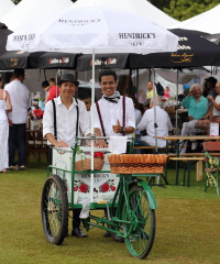 Pictures from 2014 King's Cup Elephant Polo in Bangkok, Thailand.