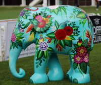 Pictures from 2014 King's Cup Elephant Polo in Bangkok, Thailand.