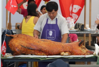 Pictures from 2014 King's Cup Elephant Polo in Bangkok, Thailand.