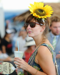 Pictures from 2014 King's Cup Elephant Polo in Bangkok, Thailand.