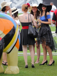 Pictures from 2014 King's Cup Elephant Polo in Bangkok, Thailand.