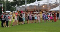 Pictures from 2014 King's Cup Elephant Polo in Bangkok, Thailand.