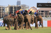 Pictures from 2016 King's Cup Elephant Polo in Bangkok, Thailand.