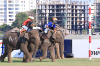 Pictures from 2016 King's Cup Elephant Polo in Bangkok, Thailand.