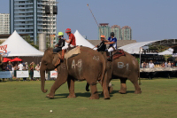 Pictures from 2016 King's Cup Elephant Polo in Bangkok, Thailand.