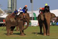 Pictures from 2016 King's Cup Elephant Polo in Bangkok, Thailand.