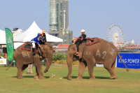 Pictures from 2016 King's Cup Elephant Polo in Bangkok, Thailand.