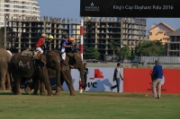 Pictures from 2016 King's Cup Elephant Polo in Bangkok, Thailand.