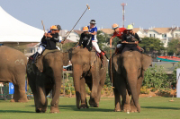 Pictures from 2016 King's Cup Elephant Polo in Bangkok, Thailand.