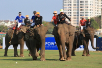 Pictures from 2016 King's Cup Elephant Polo in Bangkok, Thailand.