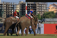 Pictures from 2016 King's Cup Elephant Polo in Bangkok, Thailand.