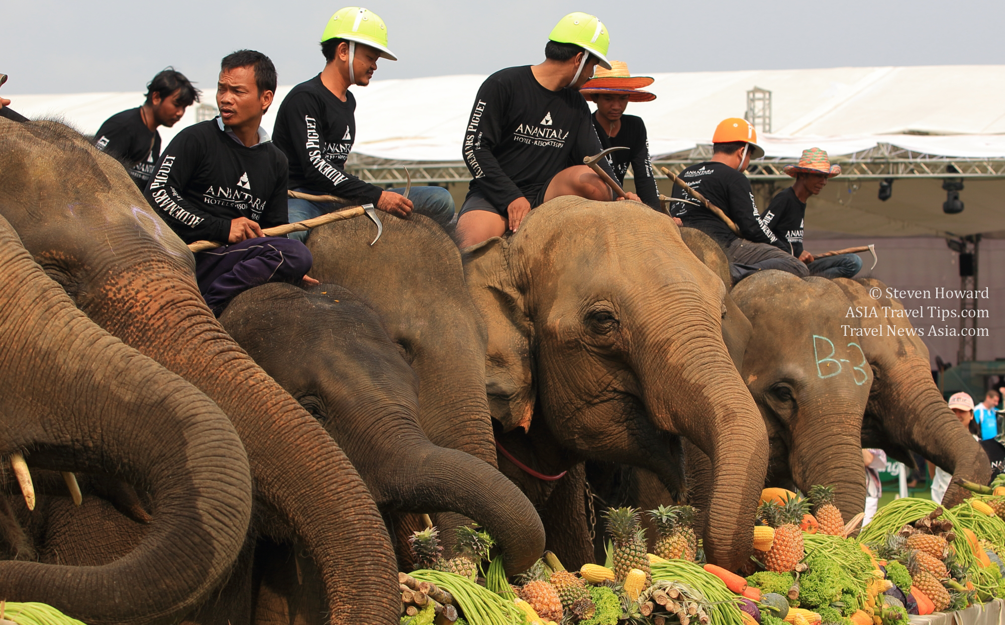 A buffet for elephants at the 2016 King's Cup Elephant Polo in Bangkok, Thailand