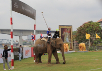 Pictures from 2016 King's Cup Elephant Polo in Bangkok, Thailand.