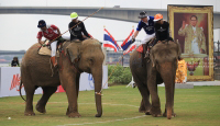 Pictures from 2016 King's Cup Elephant Polo in Bangkok, Thailand.