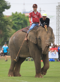 Pictures from 2016 King's Cup Elephant Polo in Bangkok, Thailand.