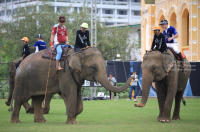 Pictures from 2016 King's Cup Elephant Polo in Bangkok, Thailand.