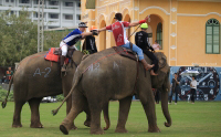 Pictures from 2016 King's Cup Elephant Polo in Bangkok, Thailand.