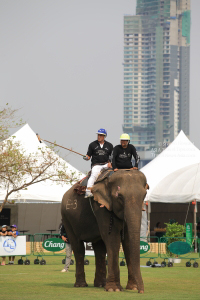 Pictures from 2016 King's Cup Elephant Polo in Bangkok, Thailand.