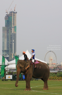 Pictures from 2016 King's Cup Elephant Polo in Bangkok, Thailand.