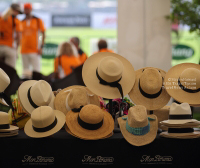 Pictures from 2016 King's Cup Elephant Polo in Bangkok, Thailand.