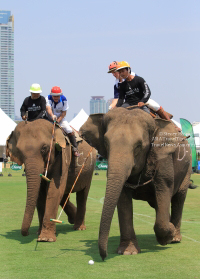 Pictures from 2016 King's Cup Elephant Polo in Bangkok, Thailand.