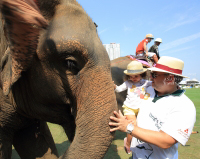 Pictures from 2016 King's Cup Elephant Polo in Bangkok, Thailand.