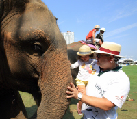 Pictures from 2016 King's Cup Elephant Polo in Bangkok, Thailand.