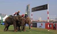 Pictures from 2016 King's Cup Elephant Polo in Bangkok, Thailand.