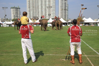 Pictures from 2016 King's Cup Elephant Polo in Bangkok, Thailand.