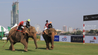 Pictures from 2016 King's Cup Elephant Polo in Bangkok, Thailand.