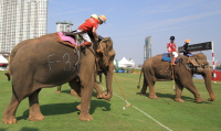 Pictures from 2016 King's Cup Elephant Polo in Bangkok, Thailand.