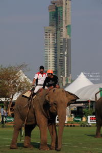 Pictures from 2016 King's Cup Elephant Polo in Bangkok, Thailand.