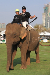 Pictures from 2016 King's Cup Elephant Polo in Bangkok, Thailand.