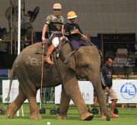 Pictures from 2016 King's Cup Elephant Polo in Bangkok, Thailand.