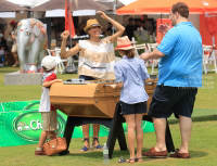 Pictures from 2016 King's Cup Elephant Polo in Bangkok, Thailand.