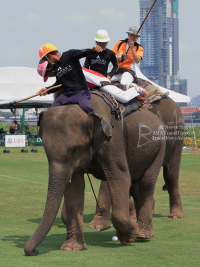 Pictures from 2016 King's Cup Elephant Polo in Bangkok, Thailand.