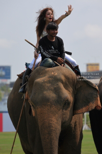 Pictures from 2016 King's Cup Elephant Polo in Bangkok, Thailand.