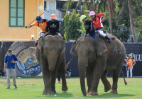 Pictures from 2016 King's Cup Elephant Polo in Bangkok, Thailand.