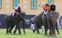 Pictures from 2016 King's Cup Elephant Polo in Bangkok, Thailand.