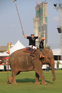 Pictures from 2016 King's Cup Elephant Polo in Bangkok, Thailand.