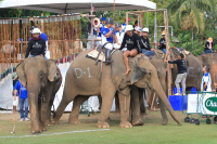 Pictures from 2016 King's Cup Elephant Polo in Bangkok, Thailand.